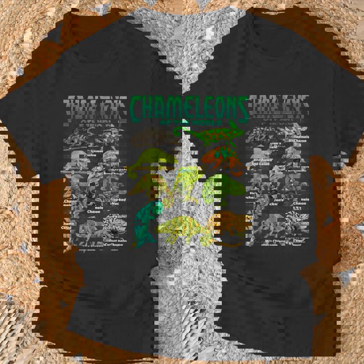 カメレオンズ・オブ・ザ・ワールド 知育爬虫類 トカゲ好き Tシャツ 高齢者への贈り物