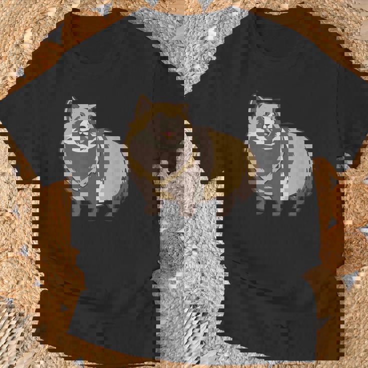 カワイイタヌキ Tシャツ 高齢者への贈り物