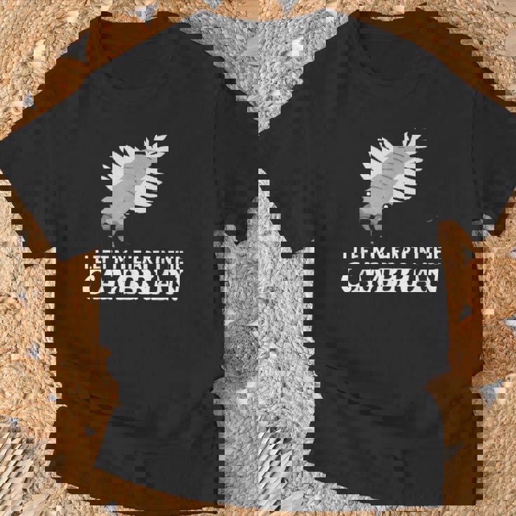 カンブリア紀の面白いアノマロカリス・パレオに心を残した Tシャツ 高齢者への贈り物