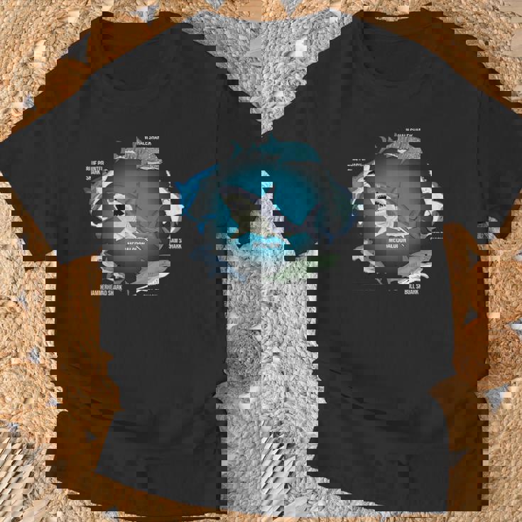 サメ6種 サメタイプ サメ 海の生き物 メガロドン サメ Tシャツ 高齢者への贈り物