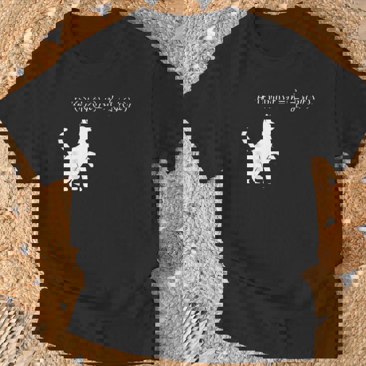 シュロディンガース 猫方程式物理学 オタク物理学 科学 Tシャツ 高齢者への贈り物