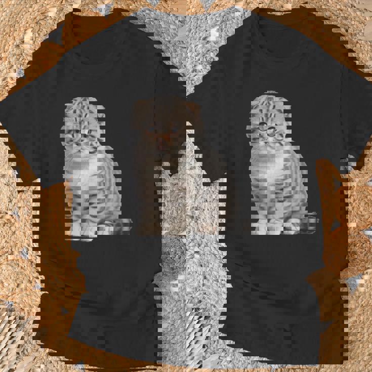 スコティッシュフォールド シンプルデザイン Tシャツ 高齢者への贈り物