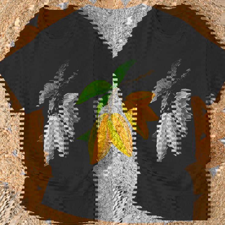 スターフルーツ フルーツ モチーフ イラスト スターフルーツ Tシャツ 高齢者への贈り物