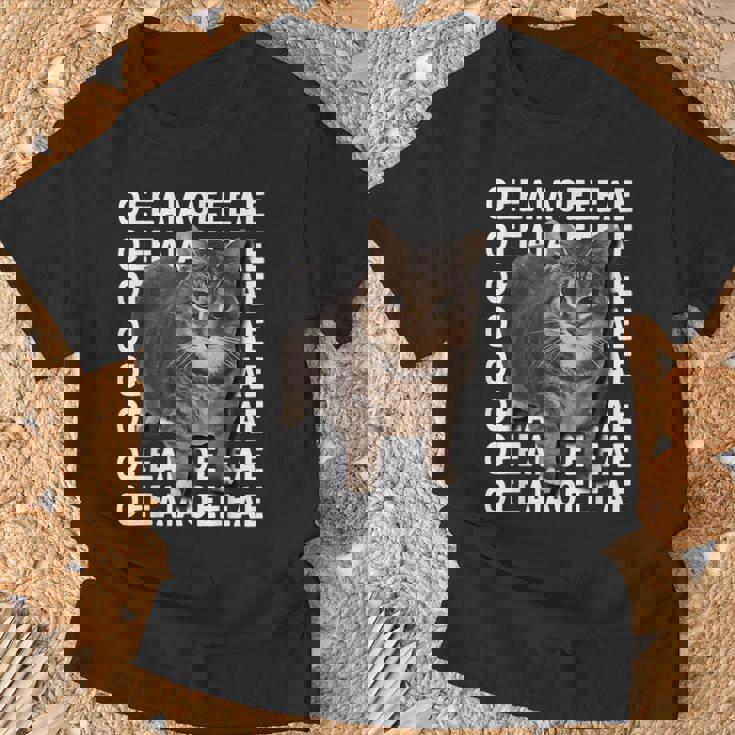 スピニングキャットミーム Oiiaoiia キャットミーム Tシャツ 高齢者への贈り物