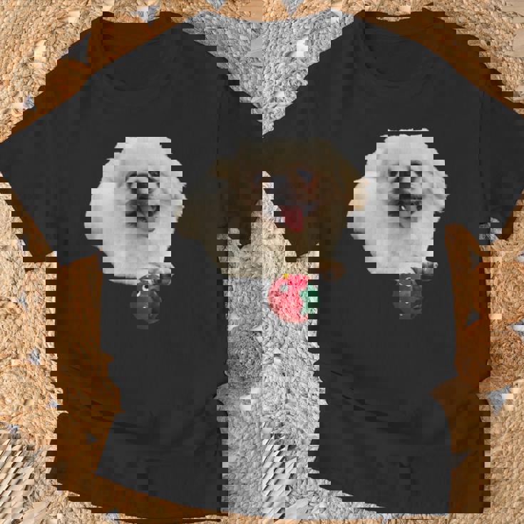 スマイル ペキニーズサニー Tシャツ 高齢者への贈り物