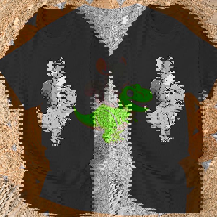 チンチラ T-Rex 恐竜 ペット おもしろい ティラノサウルス Tシャツ 高齢者への贈り物