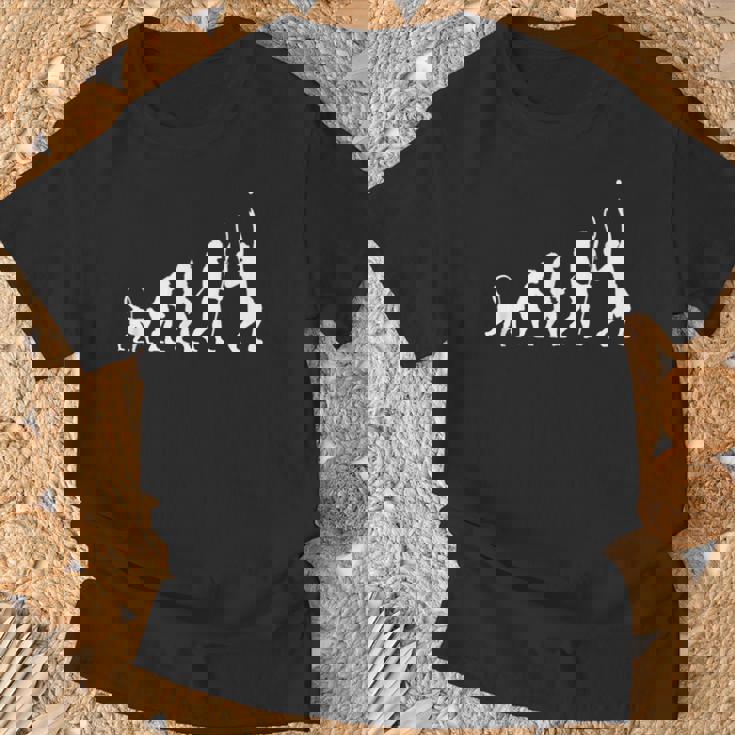 テニスの面白い進化 Tシャツ 高齢者への贈り物