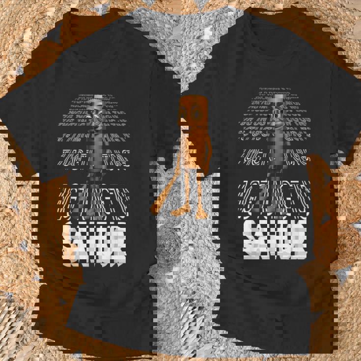 トゥン・トゥン・トゥン・サフール Tシャツ 高齢者への贈り物