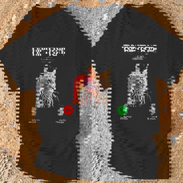 トリッピ・トロッピはブレインロット・イタリアン・ブレインロット・ミームを呼んでいる。 Tシャツ 高齢者への贈り物