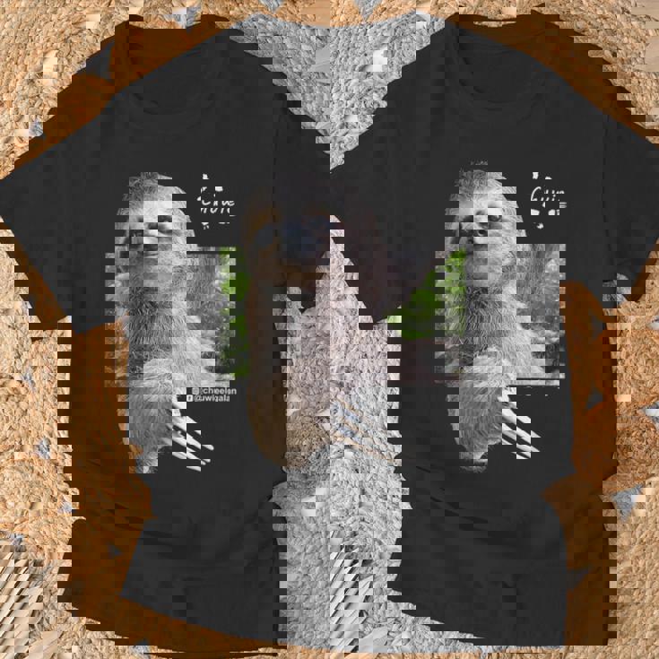 ナマケモノのチューウィー Tシャツ 高齢者への贈り物