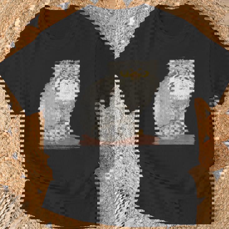 ネコ マヌルネコ 子猫 野生動物 Tシャツ 高齢者への贈り物