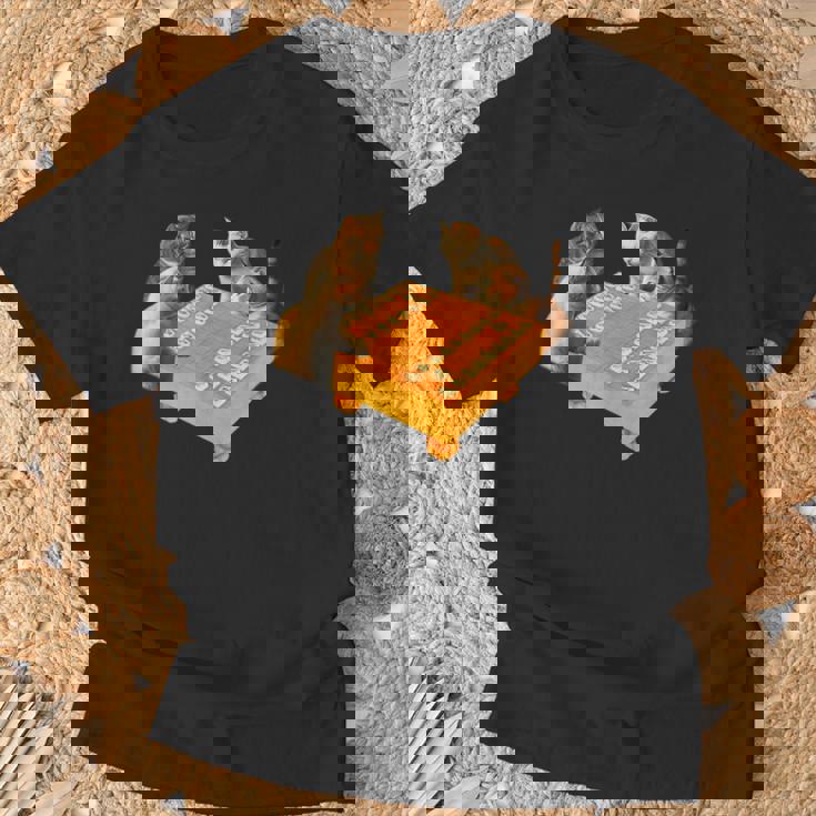 ネコ 猫 将棋 面白いtシャツ 面白い 服 おもしろ グッズ ネタ ウケ狙い メンズ 棋士 おもしろグッズ Tシャツ 高齢者への贈り物