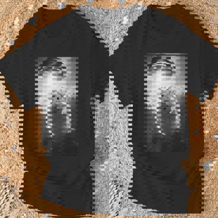 ハムスターを追うufo、クレイジーな動物、面白いハムスター Tシャツ 高齢者への贈り物