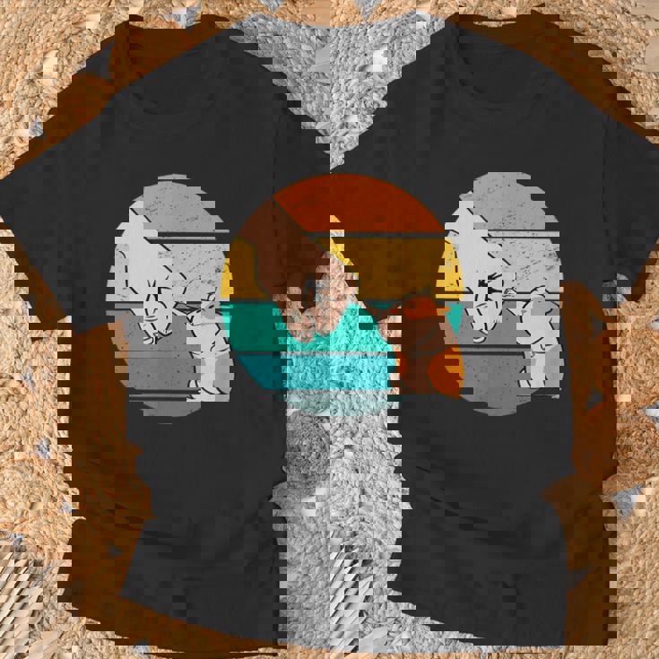 ハムスターフレンド げっ歯類ペット Tシャツ 高齢者への贈り物