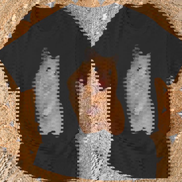 ハムスターミーム ピースサイン付き Tシャツ 高齢者への贈り物