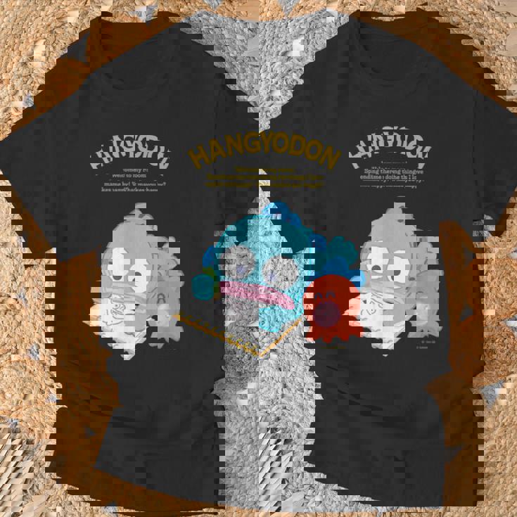 ハンギョドン ハピネスマイルーム Tシャツ 高齢者への贈り物