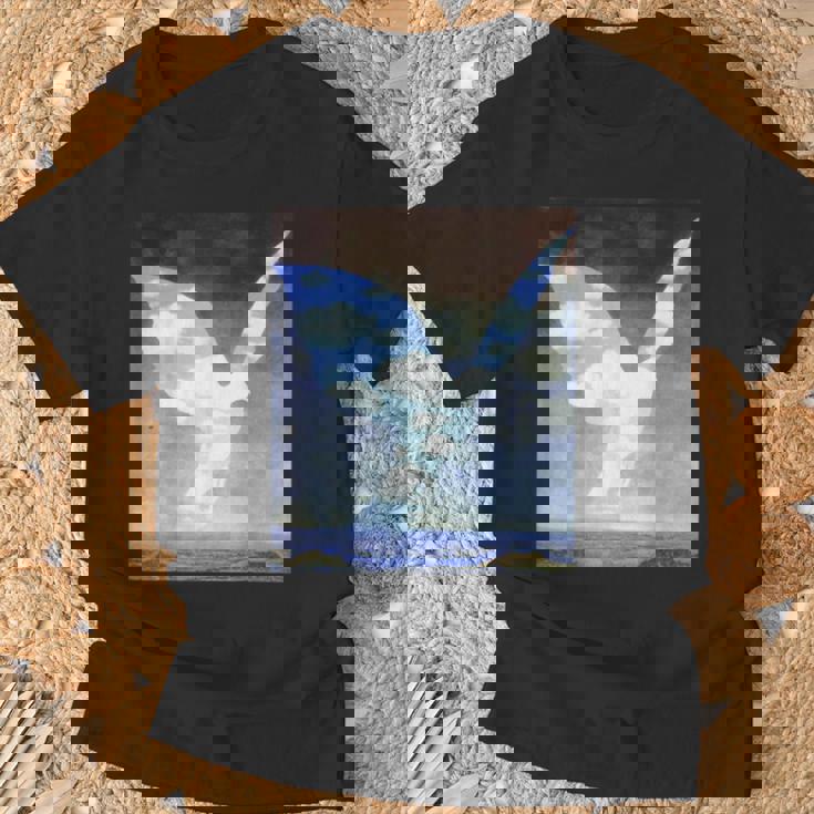 ハンサムシャツ Tシャツ 高齢者への贈り物