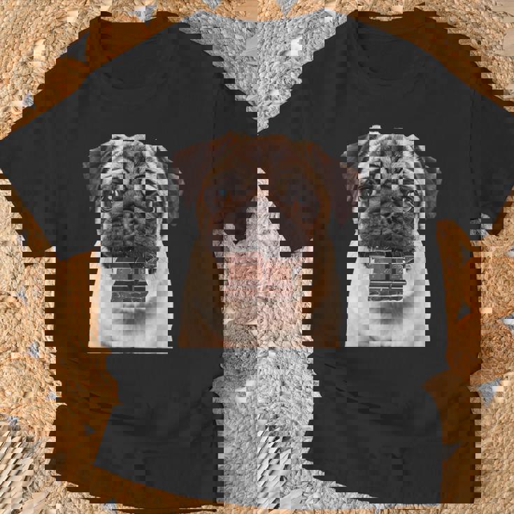 パグチョコレート Tシャツ 高齢者への贈り物