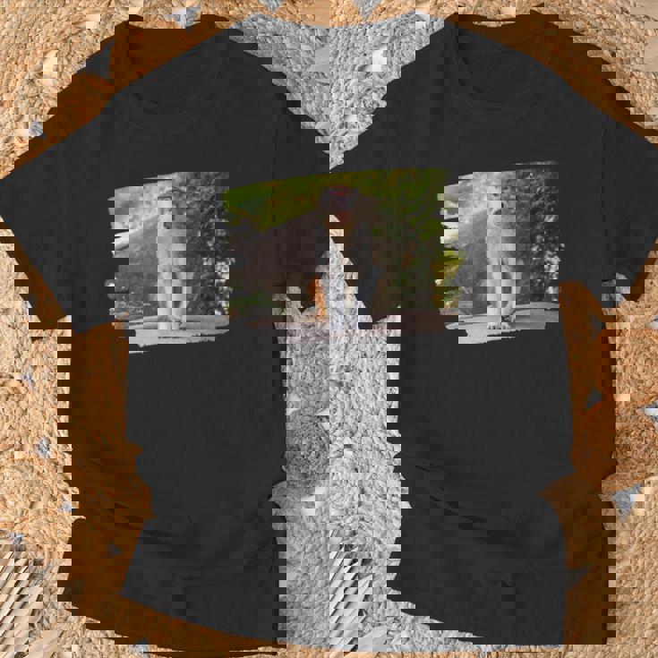 パタス・モンキー Tシャツ 高齢者への贈り物