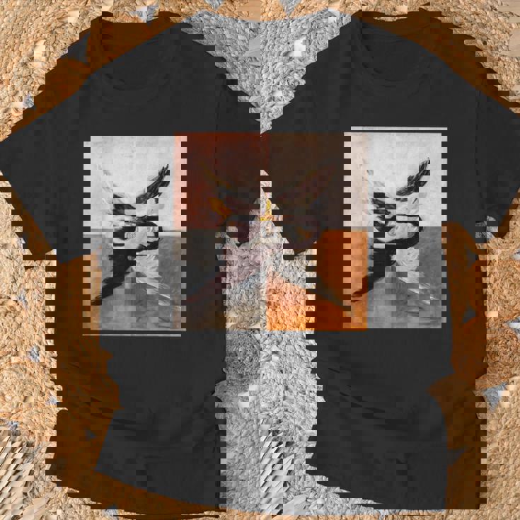 ヒルマ・アフ・クリントのスワネン Tシャツ 高齢者への贈り物