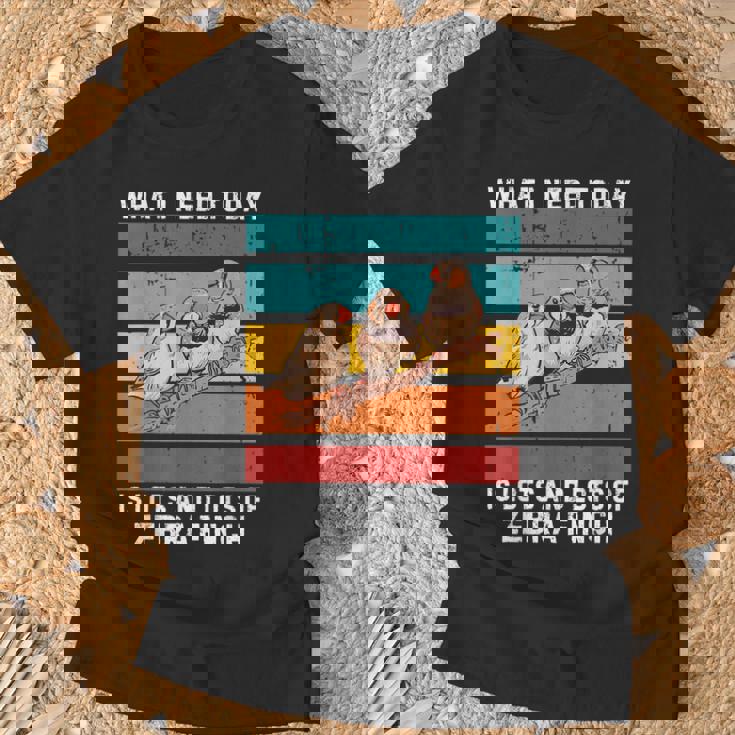 ビンテージ今日必要なのはキンカチョウがたくさん Tシャツ 高齢者への贈り物