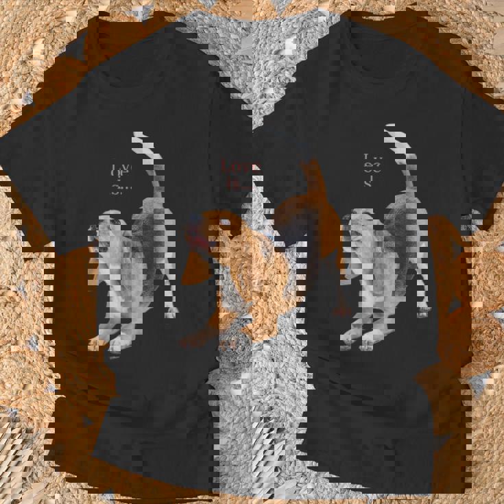 ビーグルシャツ ビーグルtシャツ Love Is Dog Mom Dad 子犬 ペット キュート Tシャツ 高齢者への贈り物