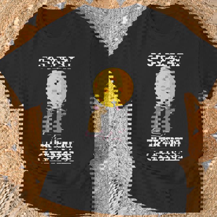 ピックルボール用パドル ラケット、ピックルボール用ボール、ピックルボール Tシャツ 高齢者への贈り物