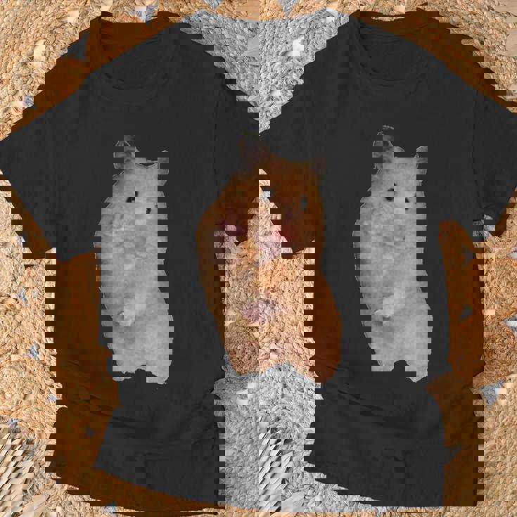 ピースサイン ハムスター ミーム Tシャツ 高齢者への贈り物