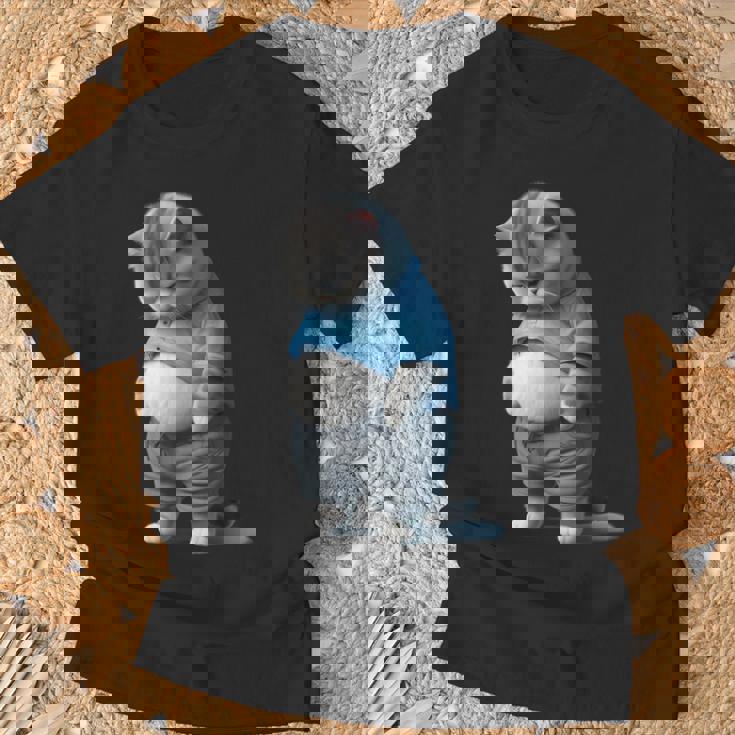 ファニー ファット 悲しい猫 アートデザイン 太った子猫 猫好き Tシャツ 高齢者への贈り物