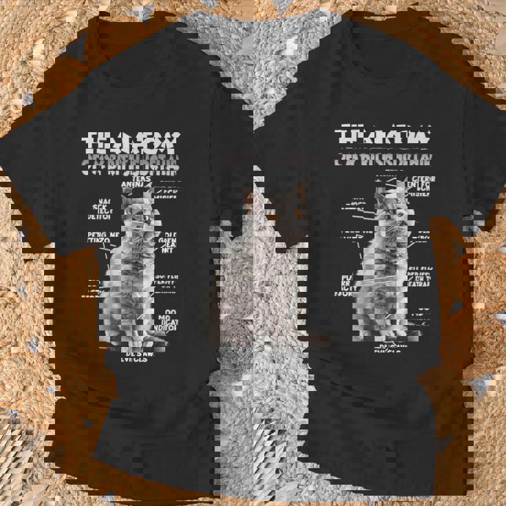 ブリティッシュショートヘアーt Tシャツ 高齢者への贈り物