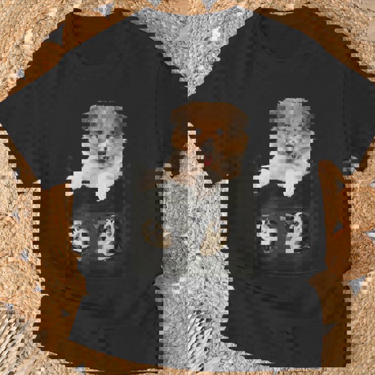 プリントポケットに入ったコリー犬 犬好きに面白い Tシャツ 高齢者への贈り物