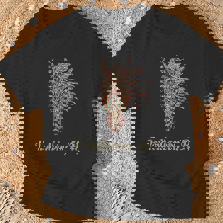 ペンドルトン オレゴン幾何学 部族のカントリーアート Tシャツ 高齢者への贈り物