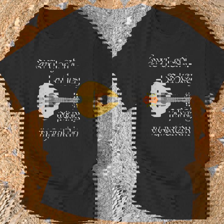 マンドリンピッキング ミュージシャン 音符 フォークミュージック Tシャツ 高齢者への贈り物