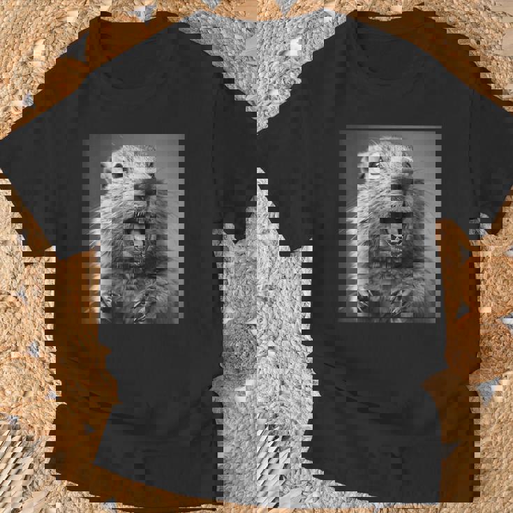 マーモットは生意気に笑う、面白いマーモット Tシャツ 高齢者への贈り物