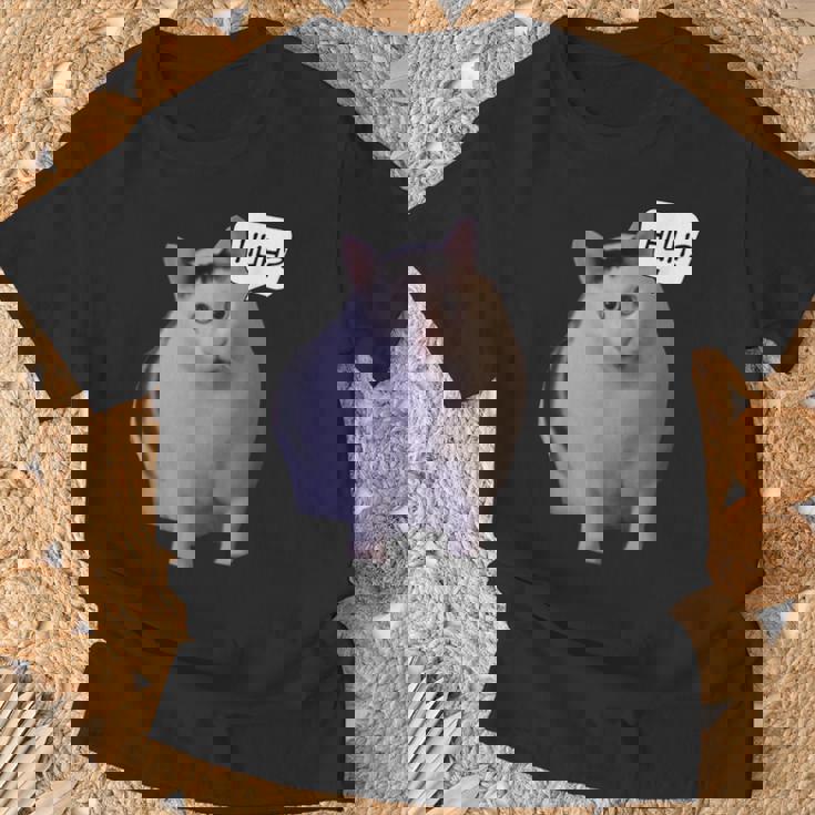 ミームハァキャット面白い Tシャツ 高齢者への贈り物