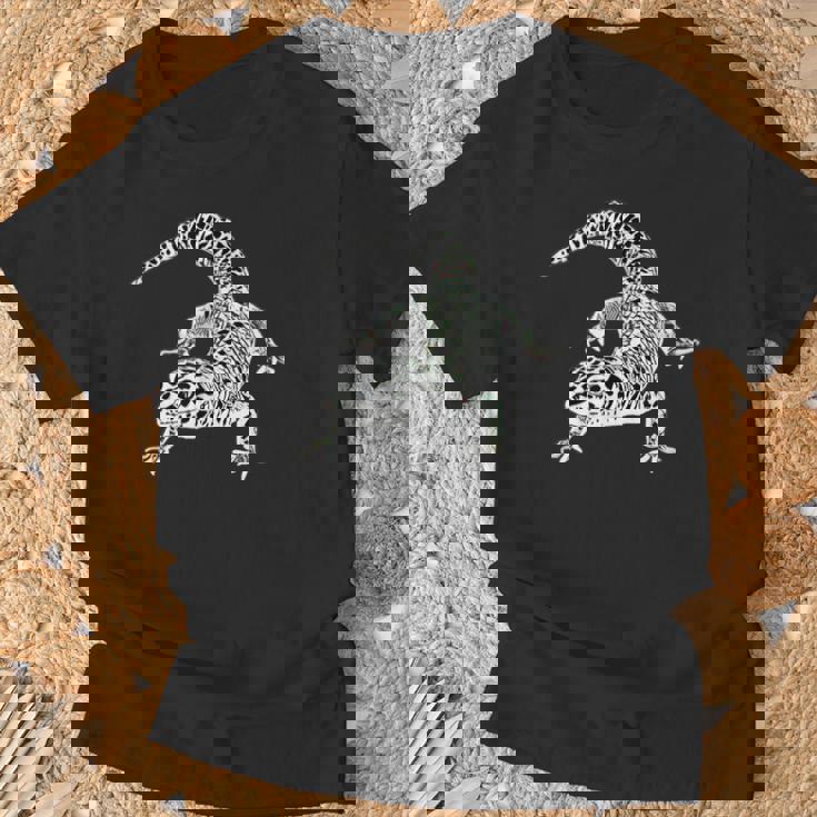 ヤモリ ヒョウモントカゲモドキ 爬虫類 Tシャツ 高齢者への贈り物