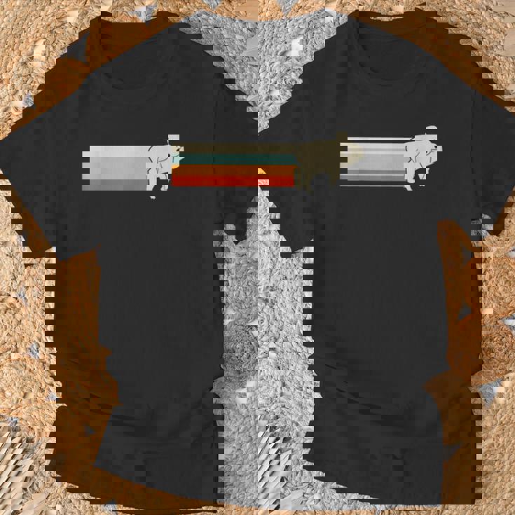 ユーカリイーターコアラとコアラヴィンテージメンズ Tシャツ 高齢者への贈り物