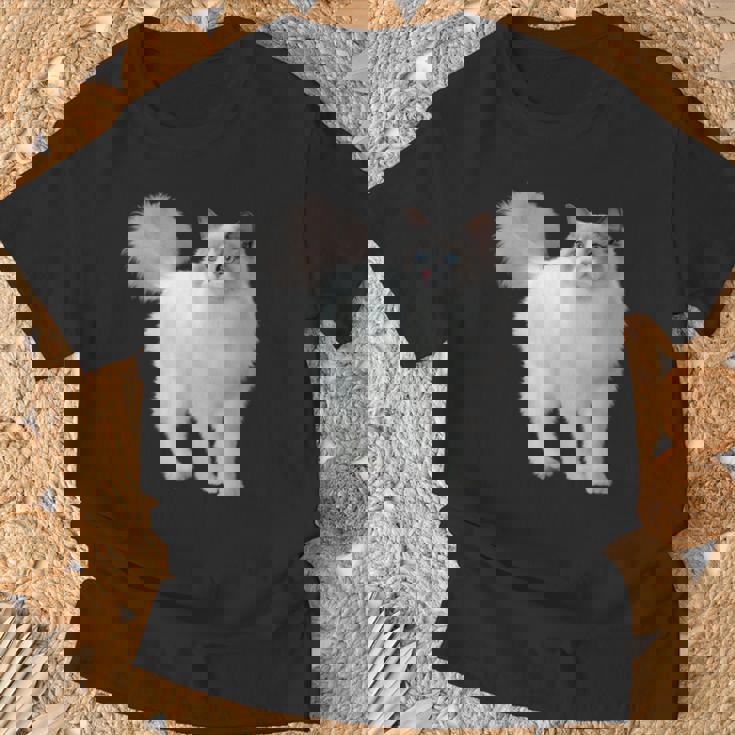 ラグドール 猫のポートレート ラグドール キャットヘッド ラグドール 猫の顔 Tシャツ 高齢者への贈り物