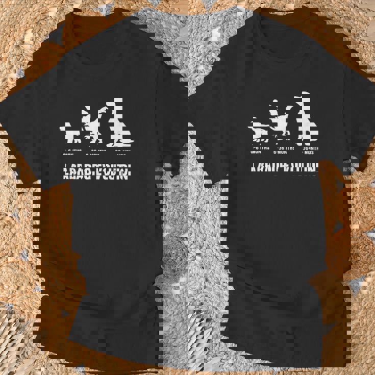 ラブラドールレトリバー エボリューションデザイン ラブラドールオーナー向け Tシャツ 高齢者への贈り物