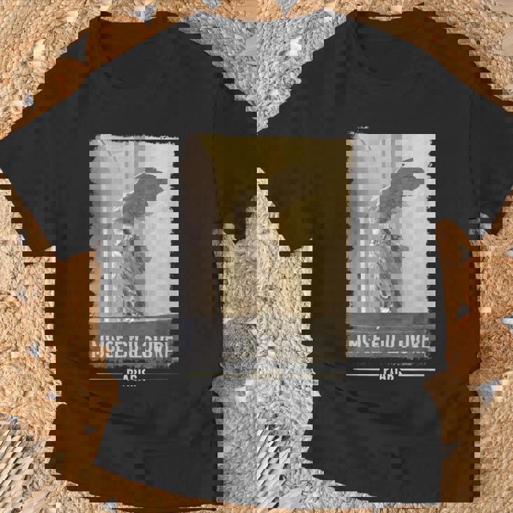 ルーヴル美術館 パリ フランス 翼のある勝利 筆プリント Tシャツ 高齢者への贈り物