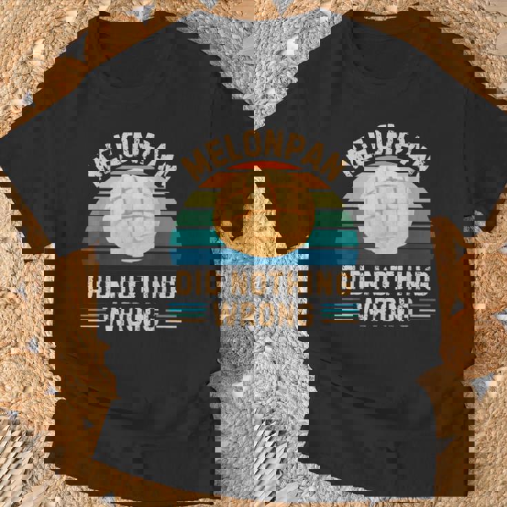 レトロ メロンパン Did Nothing Wrong ヴィンテージ メロンパン 食品愛好家 Tシャツ 高齢者への贈り物