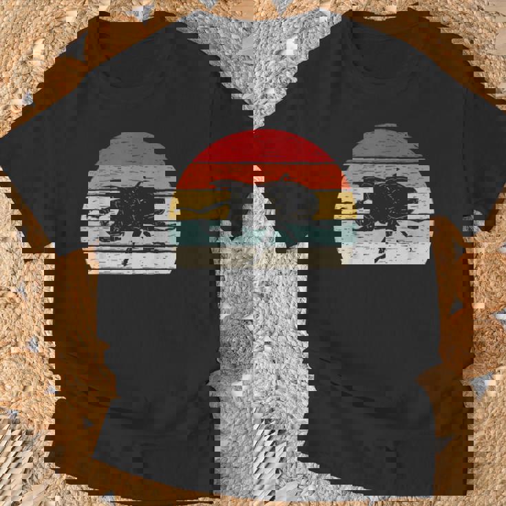 ヴィンテージ レトロ カブトムシ 昆虫 Tシャツ 高齢者への贈り物