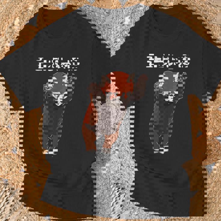 五十歩ひゃっほう レッサーパンダ ネタ ことわざ ことわざのもじり ジョーク ギャグ ダジャミ おもしろ メンズ 半袖 Tシャツ 高齢者への贈り物