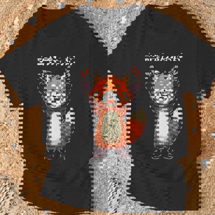 五十歩ひゃっほう レッサーパンダ ネタ ことわざ ことわざのもじり ジョーク ギャグ ダジャレ ツッコミ おもしろ メン 長袖tシャツ Tシャツ 高齢者への贈り物