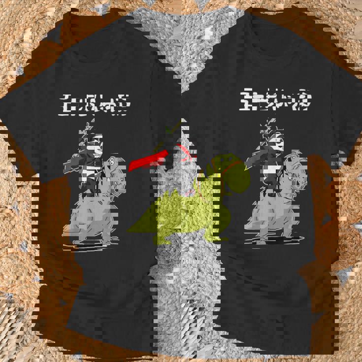 五十歩ひゃっほう恐竜 ネタ ことわざ ことわざのもじり ジョーク ギャグ ダジャレ ツッコミ おもしろ メンズ 半袖 Tシャツ 高齢者への贈り物