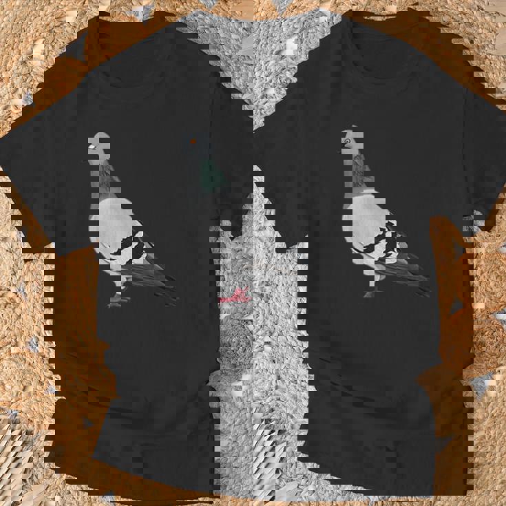 伝書鳩 鳥 動物 図 バードウォッチング 贈り物 鳥類学者 Tシャツ 高齢者への贈り物