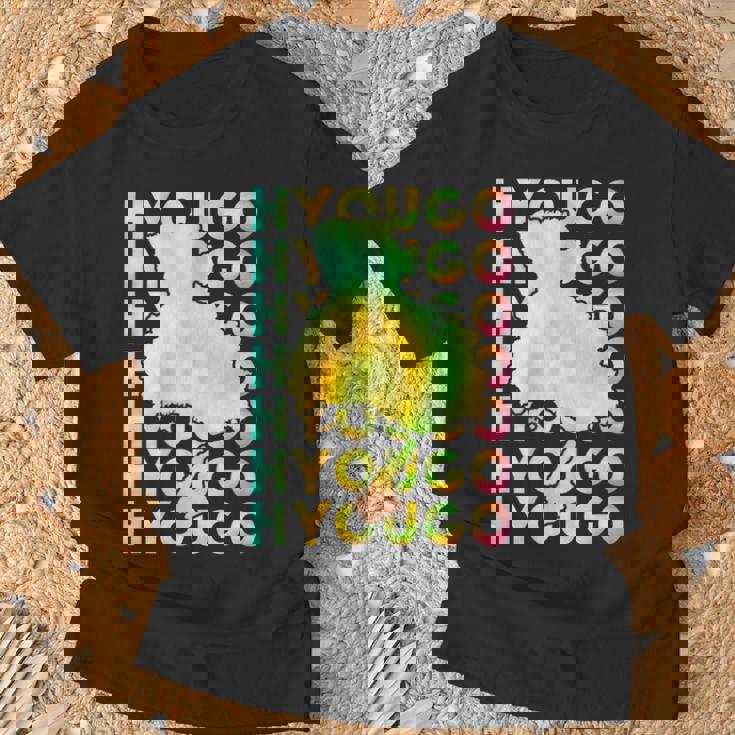 兵庫 面白tシャツ 兵庫県 面白いtシャツ 文字入り メンズ おもしろ 面白い 服 オリジナル おもしろグッズ ネタ 県 Tシャツ 高齢者への贈り物