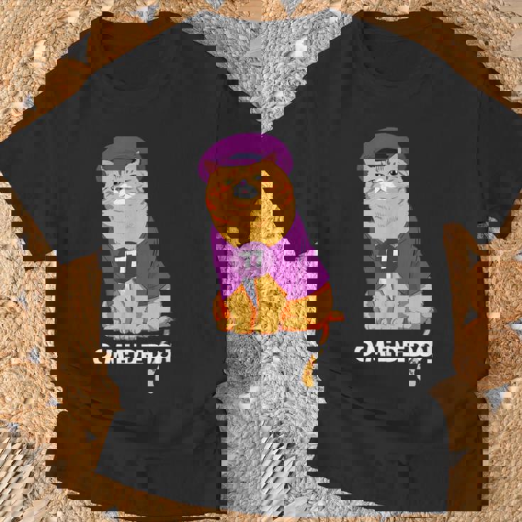 喜寿祝い 猫 ねこ ちゃんちゃんこ 男性 女性 猫好き 喜寿 お祝い 77歳 かわいい おもしろ オレンジ猫 Tシャツ 高齢者への贈り物