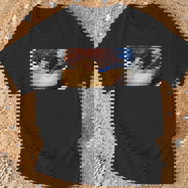 堕天使ルシファー・アレクサンドル・カバネル・ルネサンス ゴシック Tシャツ 高齢者への贈り物