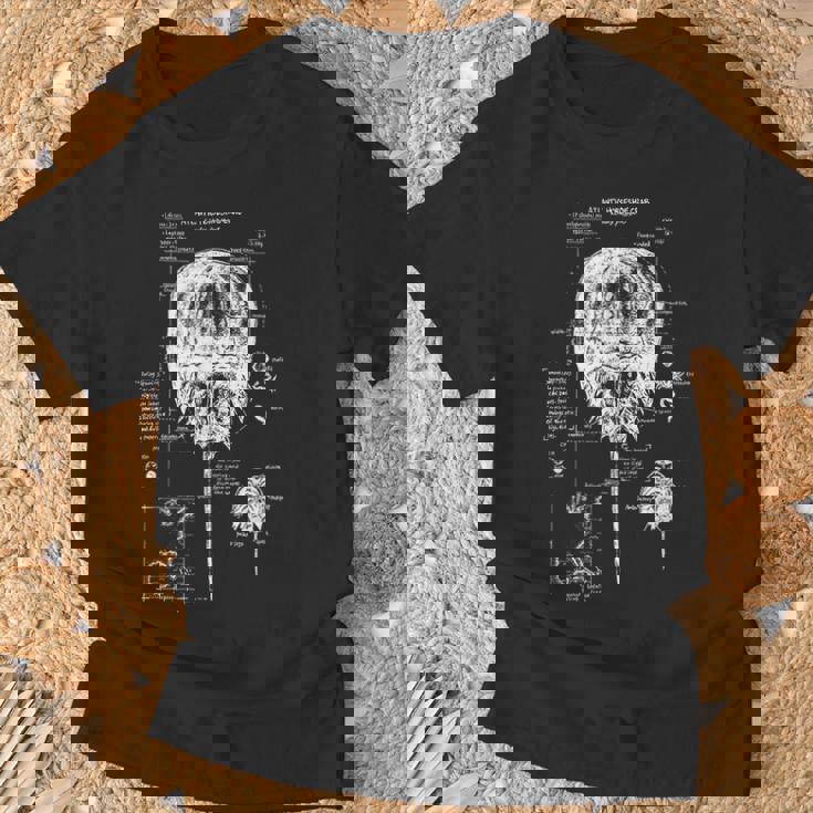 大西洋カブトガニ 解剖学 海洋生物学 海洋動物 Tシャツ 高齢者への贈り物